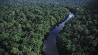 Ministério pede a Temer que vete MPs de diminuição de florestas