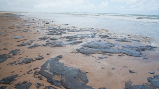 Sergipe Praia Óleo Vazamento