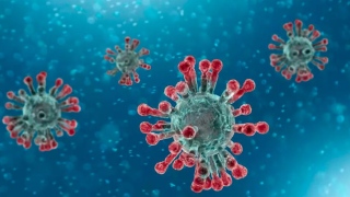 Austrália desenvolve coronavírus em laboratório e pode acelerar vacina 