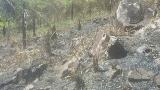 Fogo chegou a queimar aproximadamente um hectare de área agropastoril