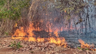 Incêndio Florestal - Queimada - Fogo