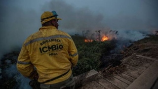 ICMBio Incêndio Amazônia