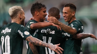 Jogadores do Palmeiras comemoram gols obre o Fortaleza