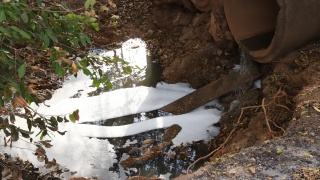 Água escura com uma espuma branca foi fotografada no Córrego Tiúba