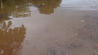 Nível da água subiu muito na cidade