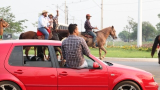 Participantes de cavalgada deixam rastro de infrações