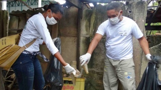 Gurupi combate ao mosquito da dengue 