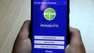 Aplicativo Na luta contra o mosquito