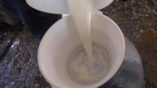 Estudante desenvolve projeto para ajudar quem tem intolerância à lactose