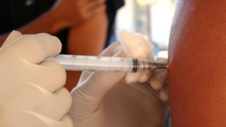 Vacinação febre amarela 