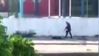 Vídeo mostra PMs executando homens rendidos no Rio