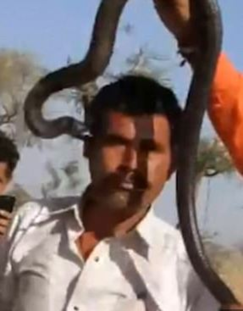 Turista morre após receber picada de cobra no rosto ao tirar foto
