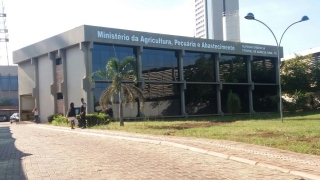 Ministério da Agricultura, Pecuária e Abastecimento no Tocantins