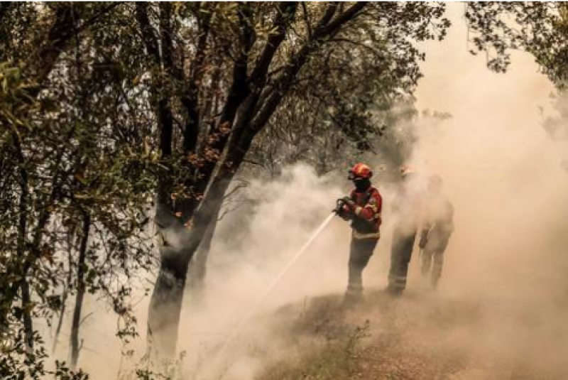 Governo de Portugal nega queda de avião em área de incêndio