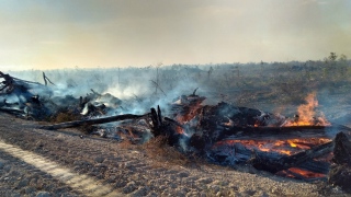 Entre os crimes ambientais, está a prática de queimada ilegal 