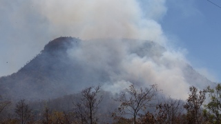Queimada - Registro feito no período matutino desta sexta-feira de fogo próximo a Taquaruçu Grande