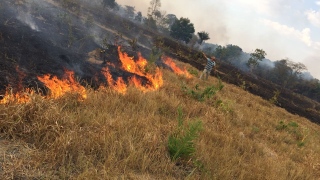 Moradores controlaram o fogo na região