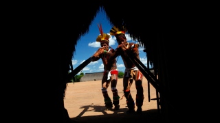 Tribo Yawalapiti