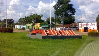 Pugmil 