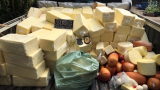 Foram destruídos 660 kg de queijos muçarela, coalho e provolone