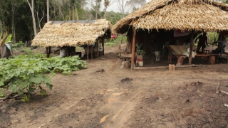 Comunidade conhecida por Taboca, em Babaçulandia, tem mais de 70 famílias 