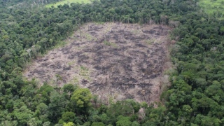 Estudo aponta que desmatamento na Amazônia pode elevar a temperatura em 1,45°C até 2050