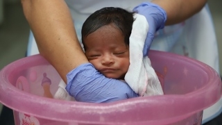 Pequena Laura Beatriz, de 40 dias, recebe banho de ofurô