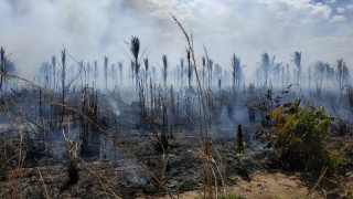 Imagem de destruição após incêndio