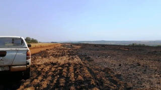 Área queimada em fazenda de Paraíso do TO