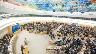 Conselho de Direitos Humanos, em Genebra