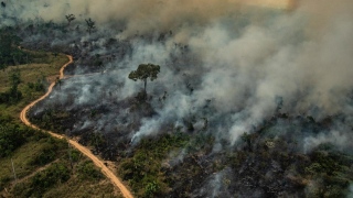 Amazônia Incêndio Greenpeace