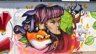 II Pmw Street Graffiti acontecerá na Praia da Graciosa