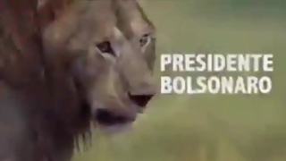 Bolsonaro Leão