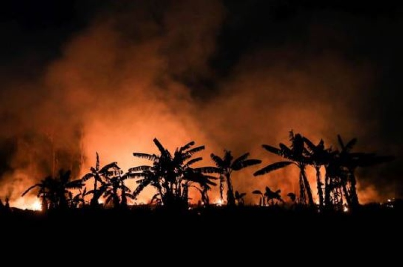 fogo incêndio floresta amazônia 