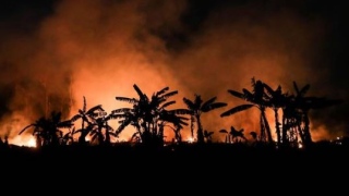 fogo incêndio floresta amazônia 