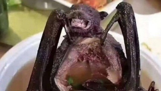 Sopa de morcego