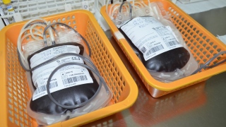 Doação de Sangue 