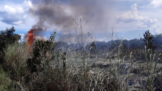 Fogo em área de fazenda em Talismã