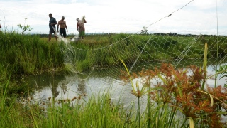 Pescaria com rede em tanque na Agrotins