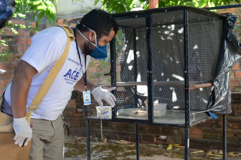 Agentes de endemias seguem no combate contra o Aedes aegypti na Capital - Fotos: Raiza Milhomem