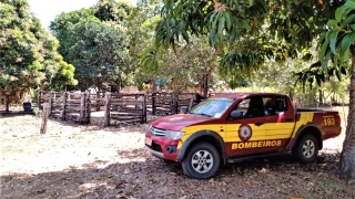 Corpo de Bombeiros ajuda na prevenção e combate a incêndios florestais no Parque Estadual do Jalapão