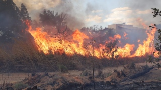 Incêndio em área verde do plano diretor de Palmas