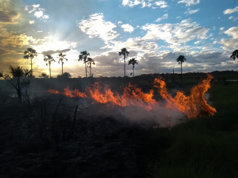 Incêndio na região do Parque Estadual do Jalapão