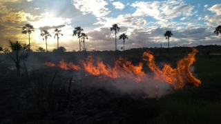 Incêndio na região do Parque Estadual do Jalapão