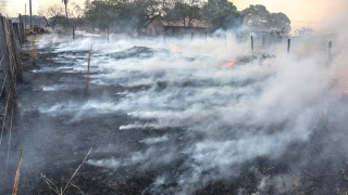 Fogo destroi pastagem à beira da rodova a caminho de Taquaruçu
