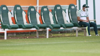 Técnico Abel Ferreira, do Palmeiras