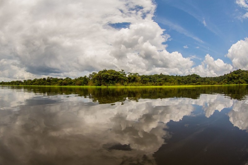 Trecho da Amazônia em Manaus, capital do Amazonas