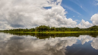Trecho da Amazônia em Manaus, capital do Amazonas