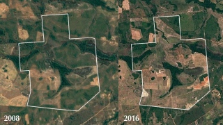 Imagens de satélite da area desmatada 