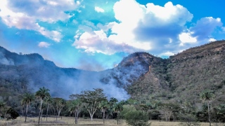 Ainda na segunda, porção da vegetação ficou destruída pelo fogo na Serra do Lajeado